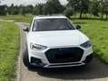 Audi A4 allroad 45 TFSI *HuD*B&O*Pano*AHK*Matrix* uvm Weiß - thumbnail 2