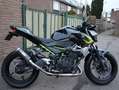 Kawasaki Z 400 Naked Verde - thumbnail 9
