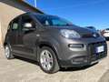 Fiat Panda 1.0 firefly hybrid Sport s Grijs - thumbnail 9