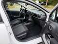 Citroen C3 1.2 PureTech S&S Feel Panodak, Navi, Nette auto Bianco - thumbnail 11