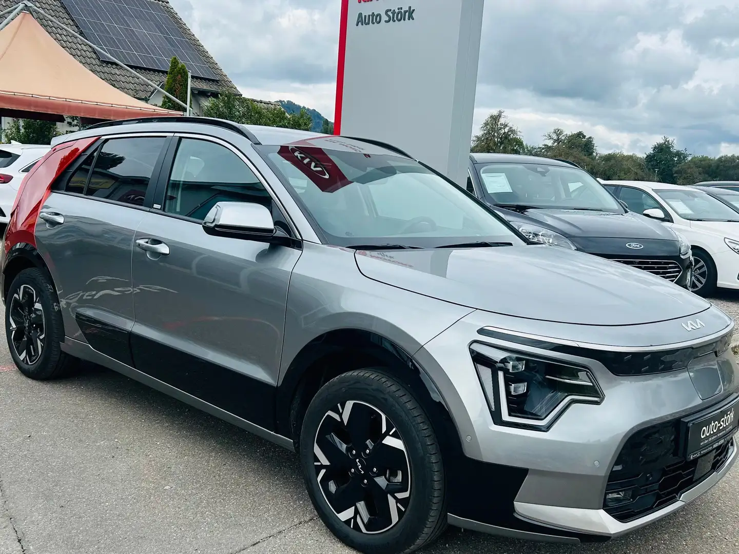 Kia Niro e-Niro Inspiration WP DW TECREX DRG Grau - 1