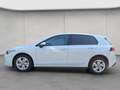 Volkswagen Golf VIII 1.5 eTSI DSG Life KESSY RFK GJR ACC PD Weiß - thumbnail 3