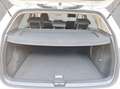 Volkswagen Golf VIII 1.5 eTSI DSG Life KESSY RFK GJR ACC PD Weiß - thumbnail 7