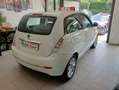 Lancia Ypsilon 1.4 Unyca Ecochic GPL*uniproprietario*ok neopatent Alb - thumbnail 4