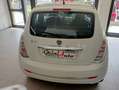 Lancia Ypsilon 1.4 Unyca Ecochic GPL*uniproprietario*ok neopatent Alb - thumbnail 5