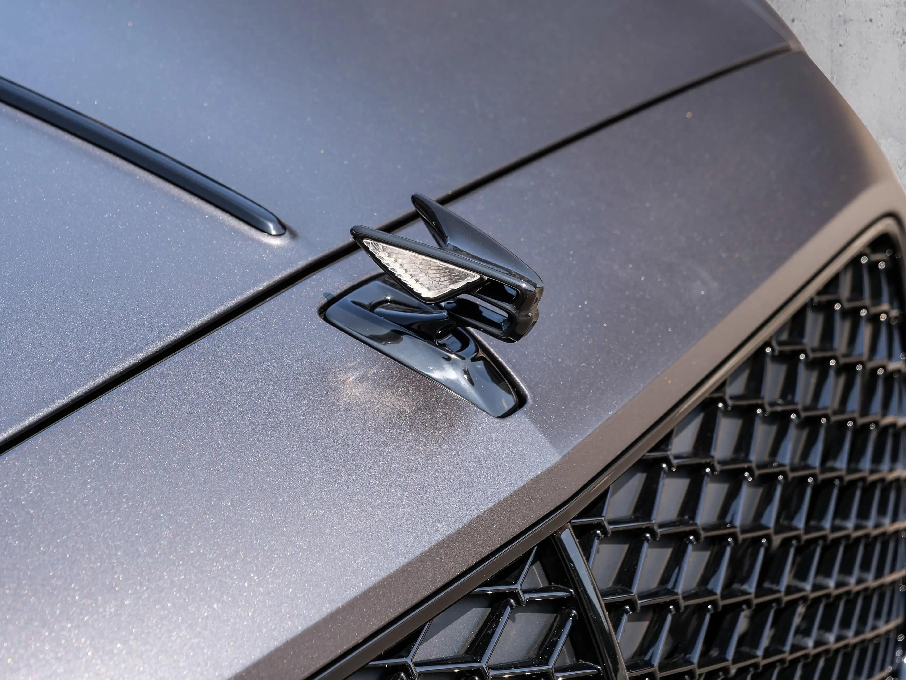 Bentley Flying Spur Speed Rear Entertainment, Dark Chrome — photo 10