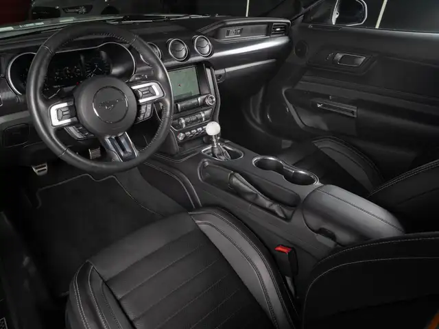 Ford Mustang view 10