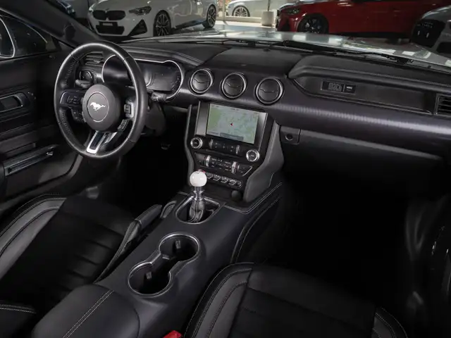 Ford Mustang view 15