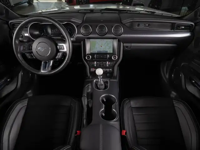 Ford Mustang view 13