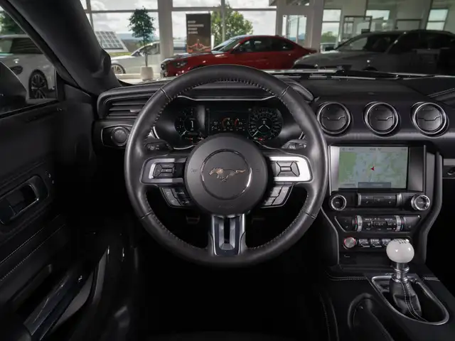 Ford Mustang view 12