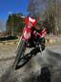 Beta RR Enduro 50ccm - thumbnail 5