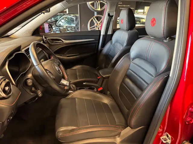 MG ZS view 15