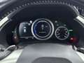 Lexus RX 450h AWD F Sport Line | Panoramadak | Rondomzicht Camer Gris - thumbnail 6
