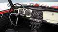 Triumph TR4 Sport Rosso - thumbnail 10
