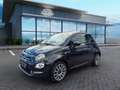 Fiat 500 1.0 Hyrid Star,Panorama,PDC Schwarz - thumbnail 3