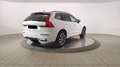 Volvo XC60 B4 Mild Hybrid Automatico Plus Dark Bianco - thumbnail 6
