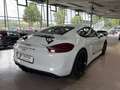 Porsche Cayman GT4 Clubsport 918 Leder unfallfr.deutsch Bianco - thumbnail 9