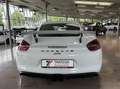 Porsche Cayman GT4 Clubsport 918 Leder unfallfr.deutsch Bianco - thumbnail 8