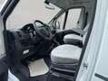 LMC Tourer T 660 G Citroen Wit - thumbnail 4