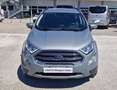 Ford EcoSport 1.0 ecoboost Titanium s&s 125cv Grigio - thumbnail 2