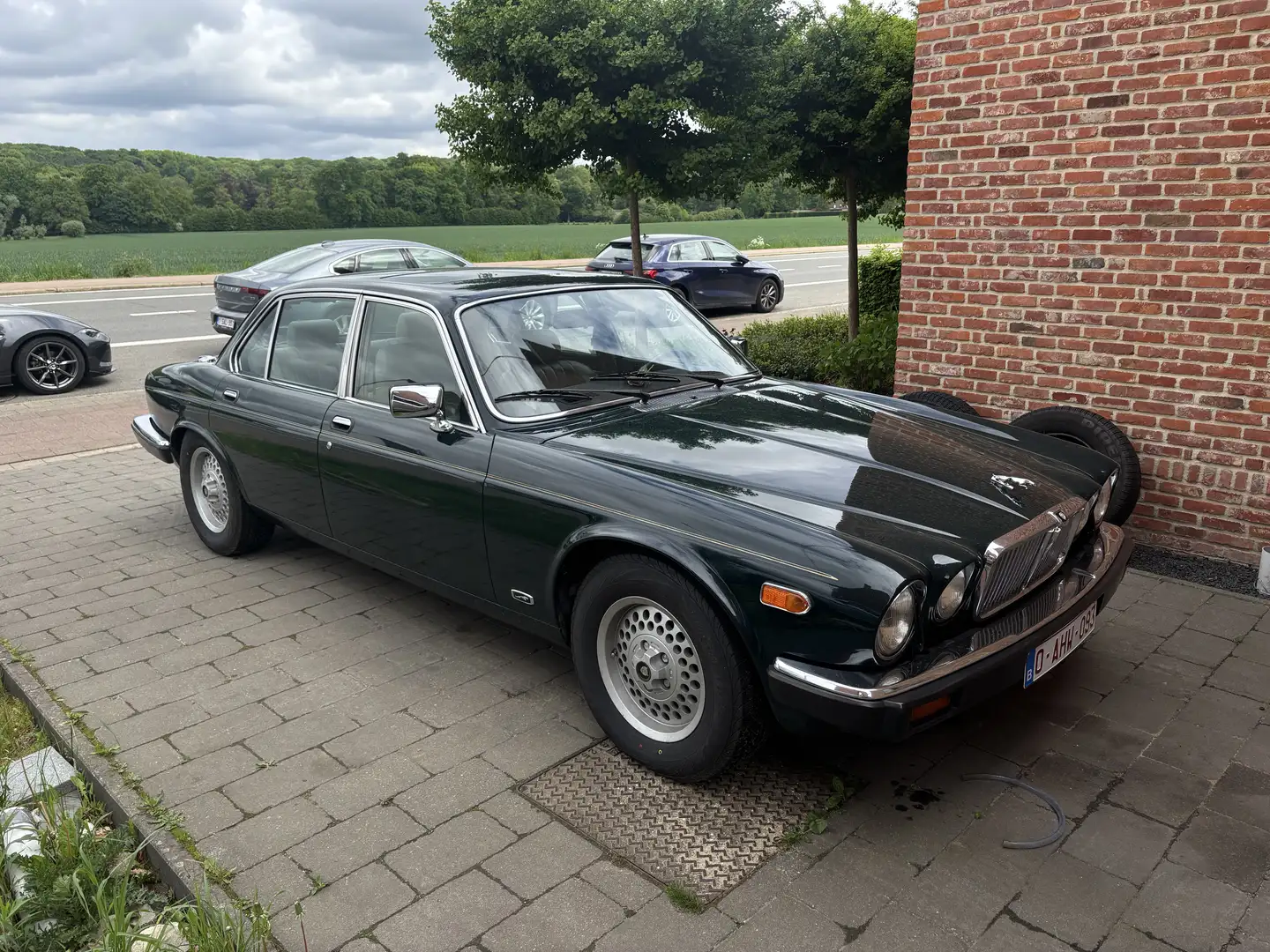 Jaguar XJ V12 Automatik - 2