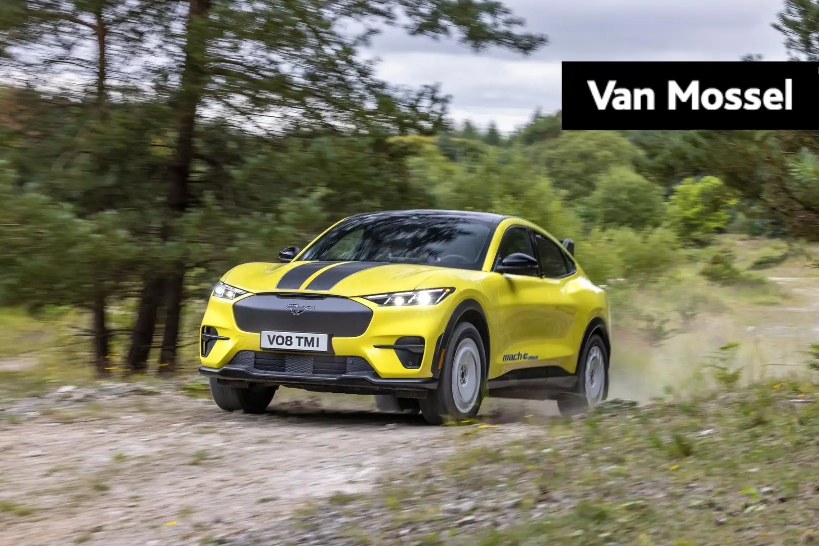 Ford Mustang Mach-E Rally Extended AWD 98 kWh Ford Mustang Mach-E 98kW Amarillo - 1