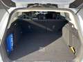 Ford Focus Turnier 1.5 Aut. TITANIUM *AHK schwenkb.*LED* Weiß - thumbnail 15