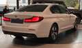 BMW 520 d 48V xDrive Business Bianco - thumbnail 3