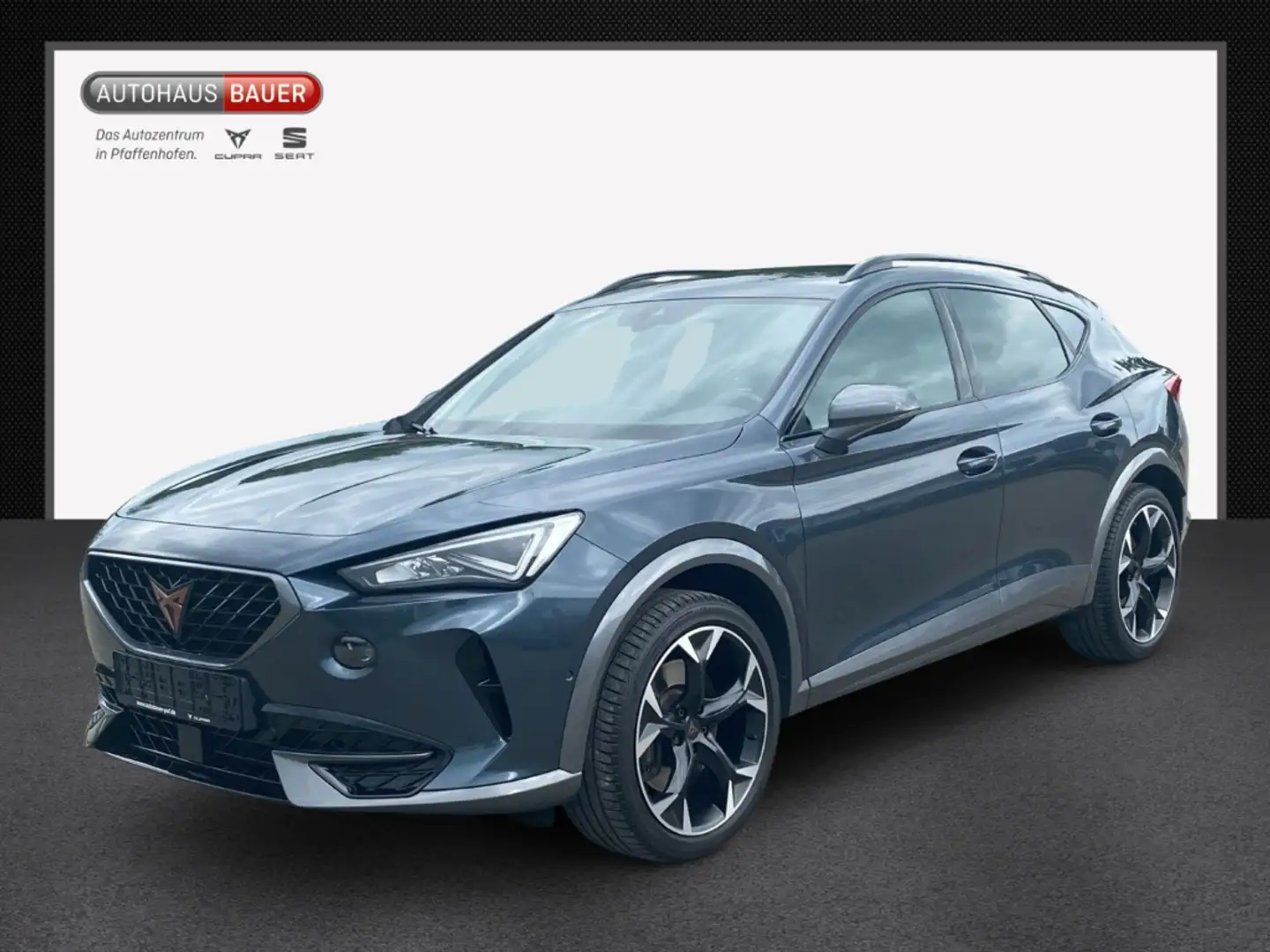 CUPRA Formentor VZ 2.0TSI DSG ACC DCC SPORTSITZE MEMORY FULLINK XL Grau - 1