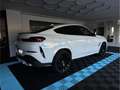 BMW X6 xdrive30d MSport auto 360 LCI ACC H&K PELLE LED Blanc - thumbnail 4