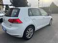 Volkswagen Golf 1.6 TDI 105CV 5P COMFORTLINE OTTIME CONDIZIONI Weiß - thumbnail 4