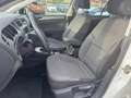 Volkswagen Golf 1.6 TDI 105CV 5P COMFORTLINE OTTIME CONDIZIONI Weiß - thumbnail 8