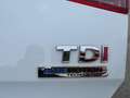 Volkswagen Golf 1.6 TDI 105CV 5P COMFORTLINE OTTIME CONDIZIONI Weiß - thumbnail 7