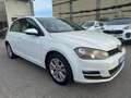 Volkswagen Golf 1.6 TDI 105CV 5P COMFORTLINE OTTIME CONDIZIONI Weiß - thumbnail 3