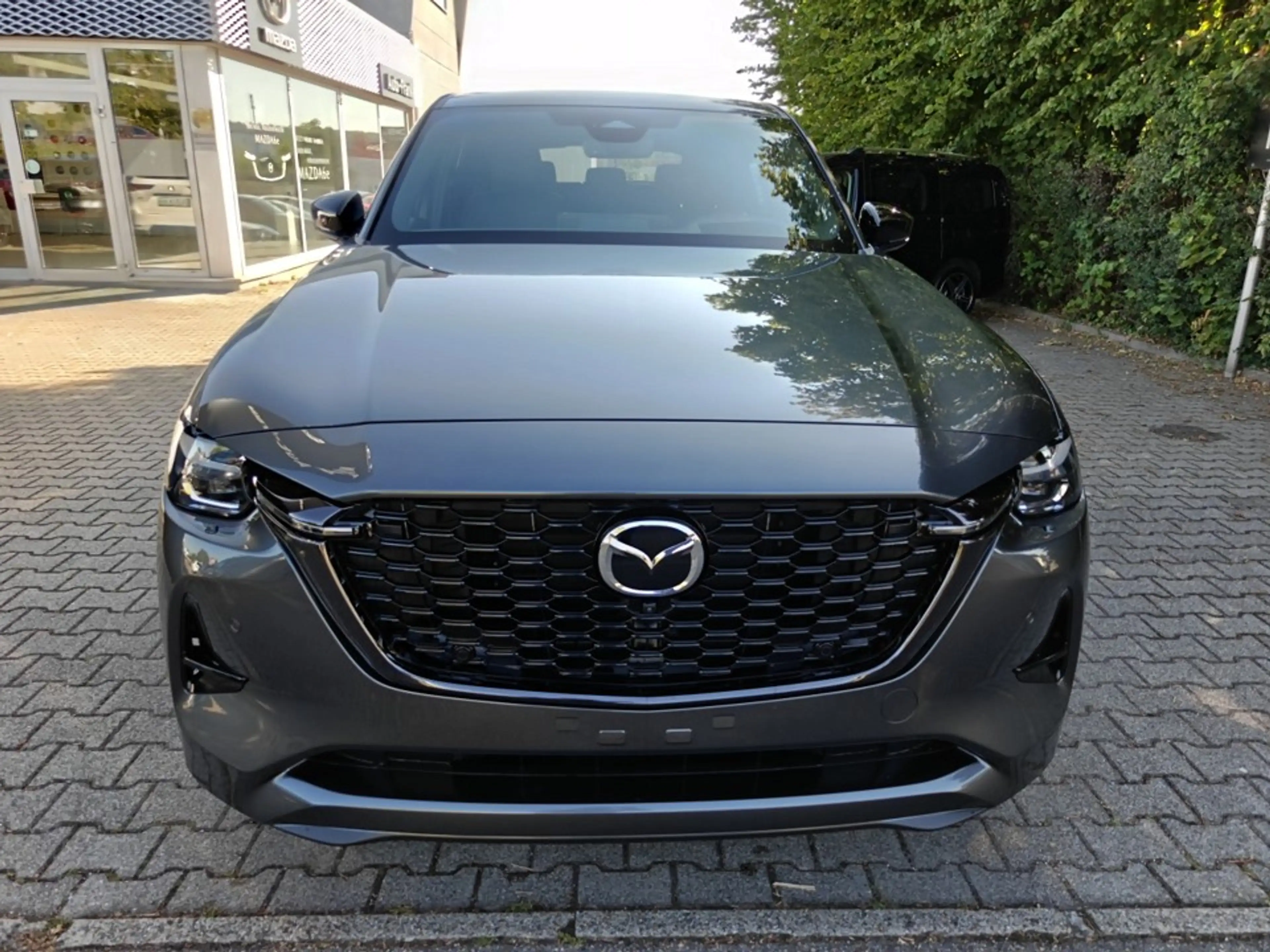 Mazda CX-60 3.3L e-SKYACTIV D AWD Homura Plus BLOP — photo 8
