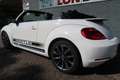 Volkswagen Beetle Cabriolet 1.4 TSI Sport R-line Een zeer nette en c Weiß - thumbnail 39