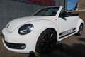 Volkswagen Beetle Cabriolet 1.4 TSI Sport R-line Een zeer nette en c Weiß - thumbnail 37