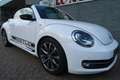 Volkswagen Beetle Cabriolet 1.4 TSI Sport R-line Een zeer nette en c Weiß - thumbnail 7