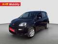 Fiat Panda Pequeño Manual de 5 Puertas Negro - thumbnail 1