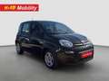 Fiat Panda Pequeño Manual de 5 Puertas Negro - thumbnail 8