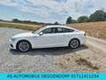 Audi A5 Sportback quattro Blanc - thumbnail 5