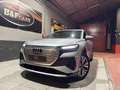 Audi Q4 e-tron 40 Advanced 82KWh Plateado - thumbnail 2