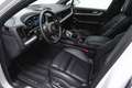 Porsche Cayenne III E-Hybrid 21,8kWh PHEV // FACELIFT // PANO // Weiß - thumbnail 15