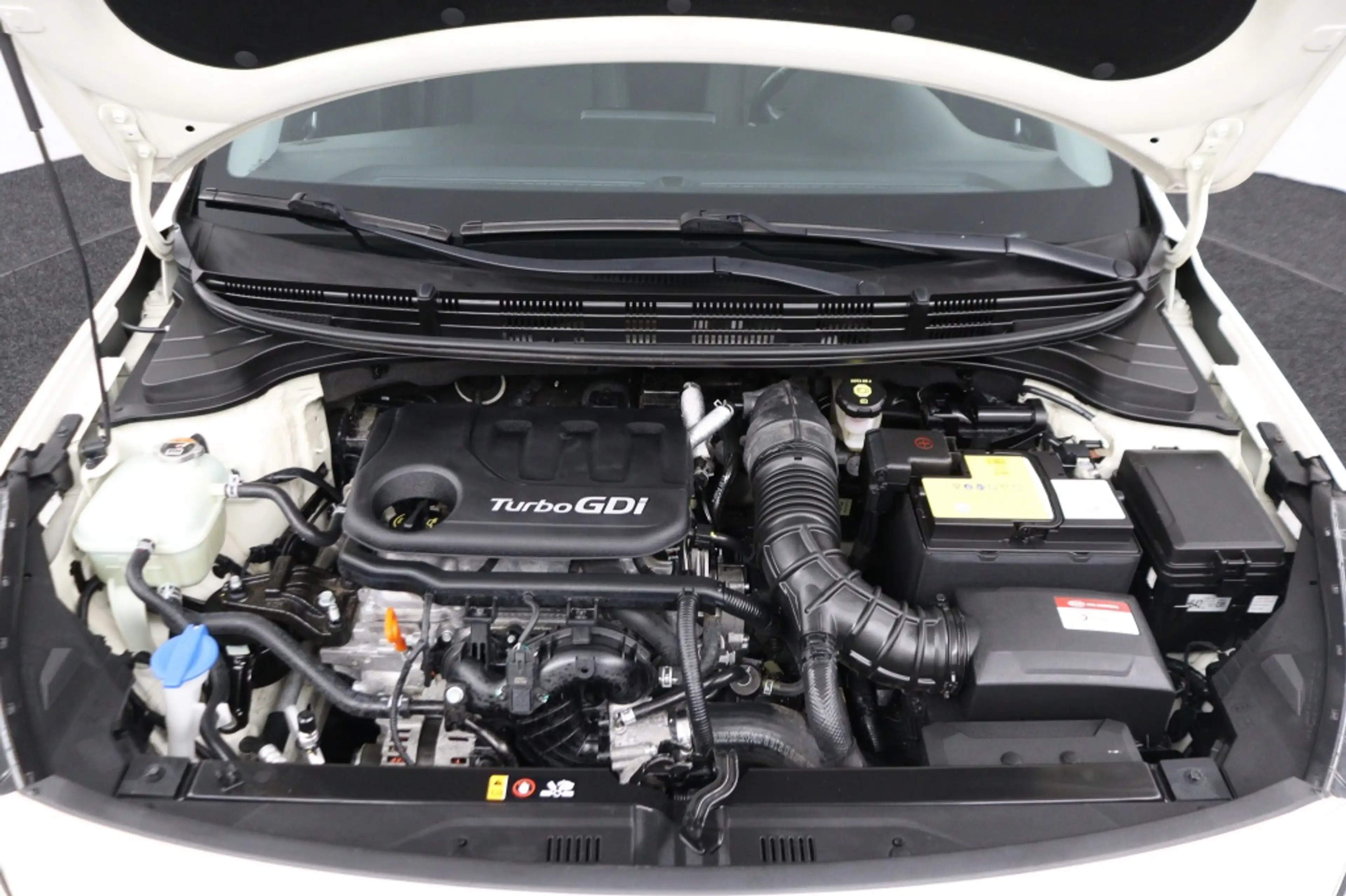 Kia Rio 1.0 TGDI Dynamic Plus Line — photo 11