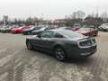 Ford Mustang 2014  V6 Premium mit Ponypaket Leder 500W Sound Grau - thumbnail 4