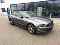 Ford Mustang 2014  V6 Premium mit Ponypaket Leder 500W Sound Grau - thumbnail 9