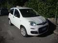 Fiat Panda Van Benzina euro 6 d-temp Blanc - thumbnail 2