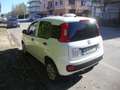 Fiat Panda Van Benzina euro 6 d-temp Blanc - thumbnail 4