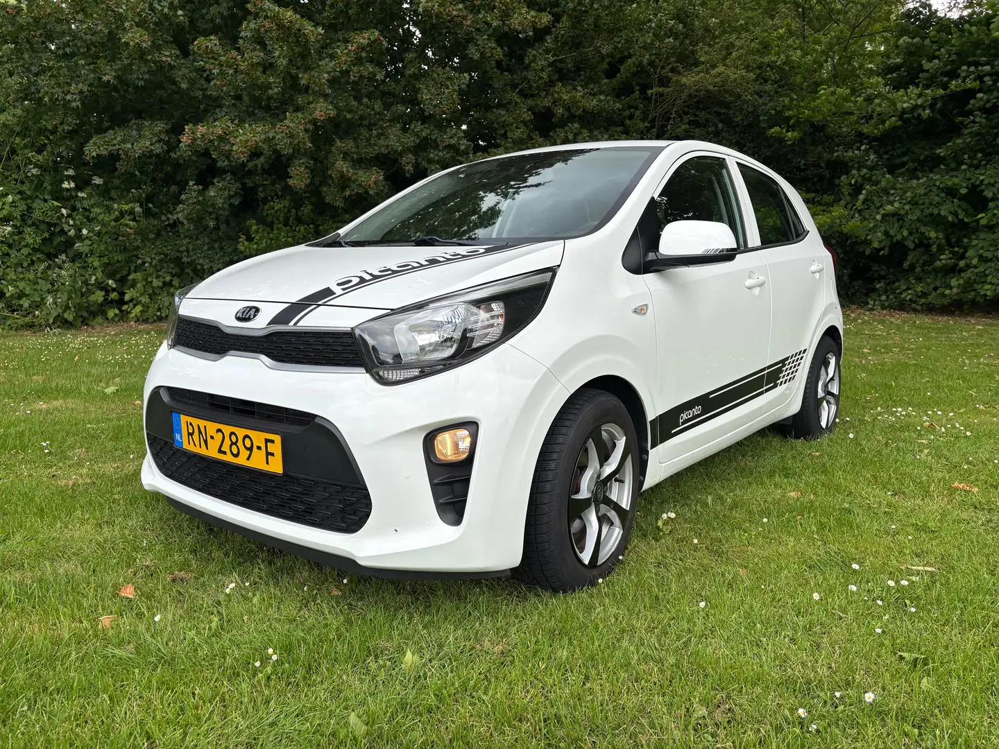 Kia Picanto Picanto 1.0 CVVT Eco.PlusL Wit - 1