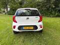 Kia Picanto Picanto 1.0 CVVT Eco.PlusL Wit - thumbnail 7